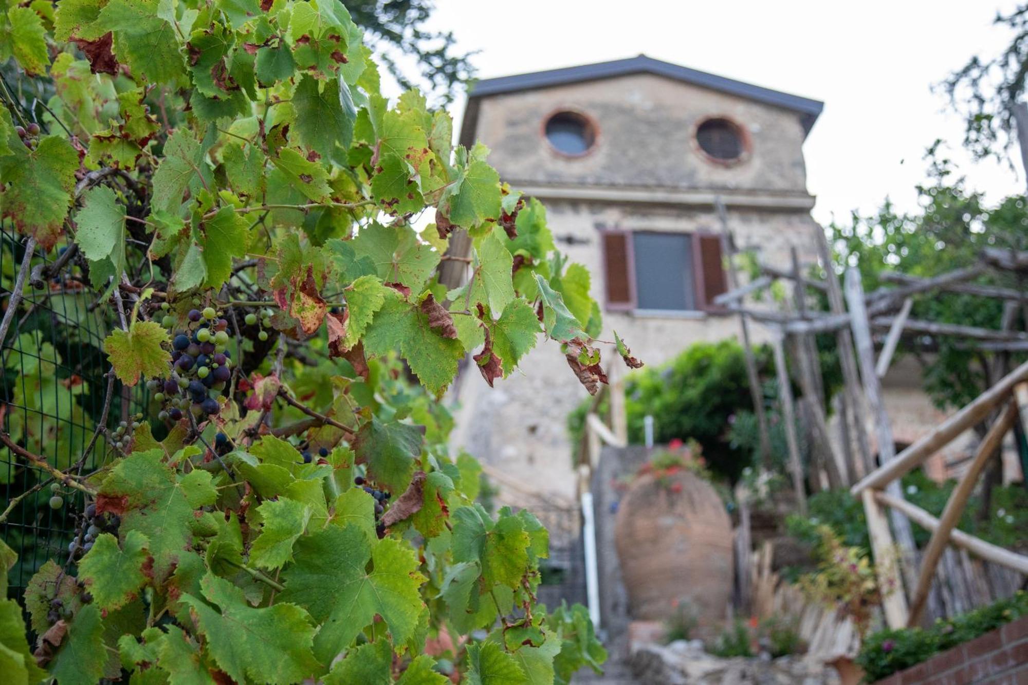 Il Melograno In Costa D'Amalfi - Romantic Experience Vietri Εξωτερικό φωτογραφία